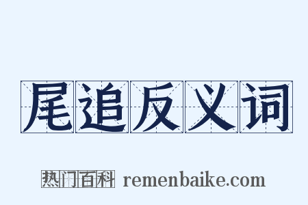 尾追反义词是什么意思的图片